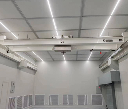 2t cleanroom overhead crane